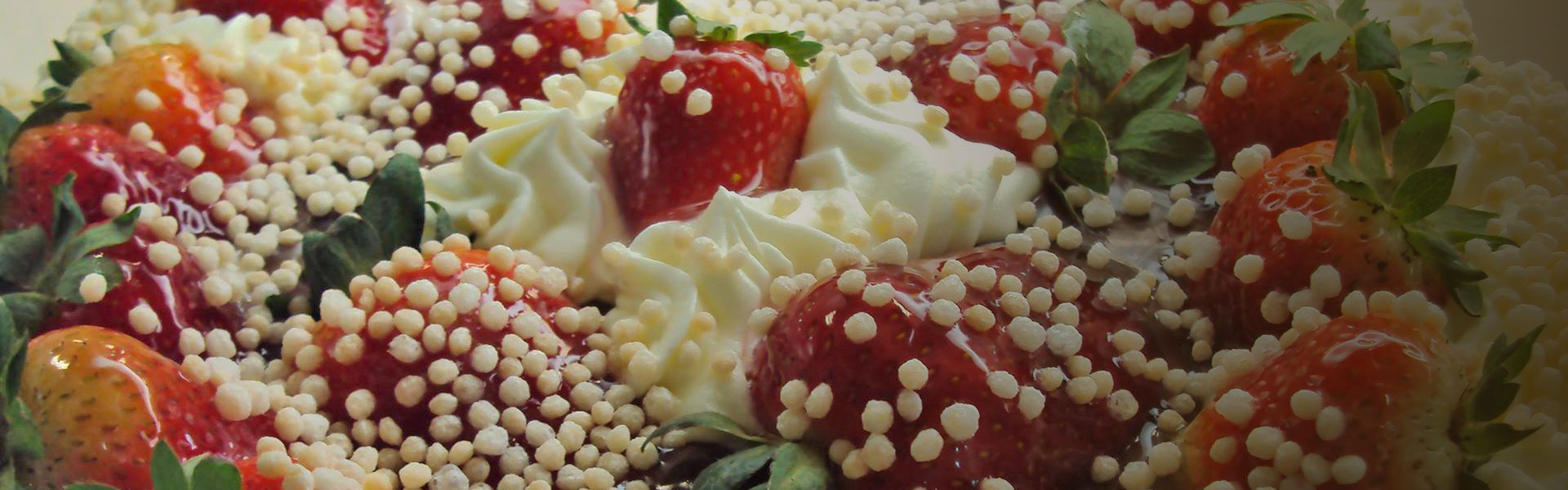 header img